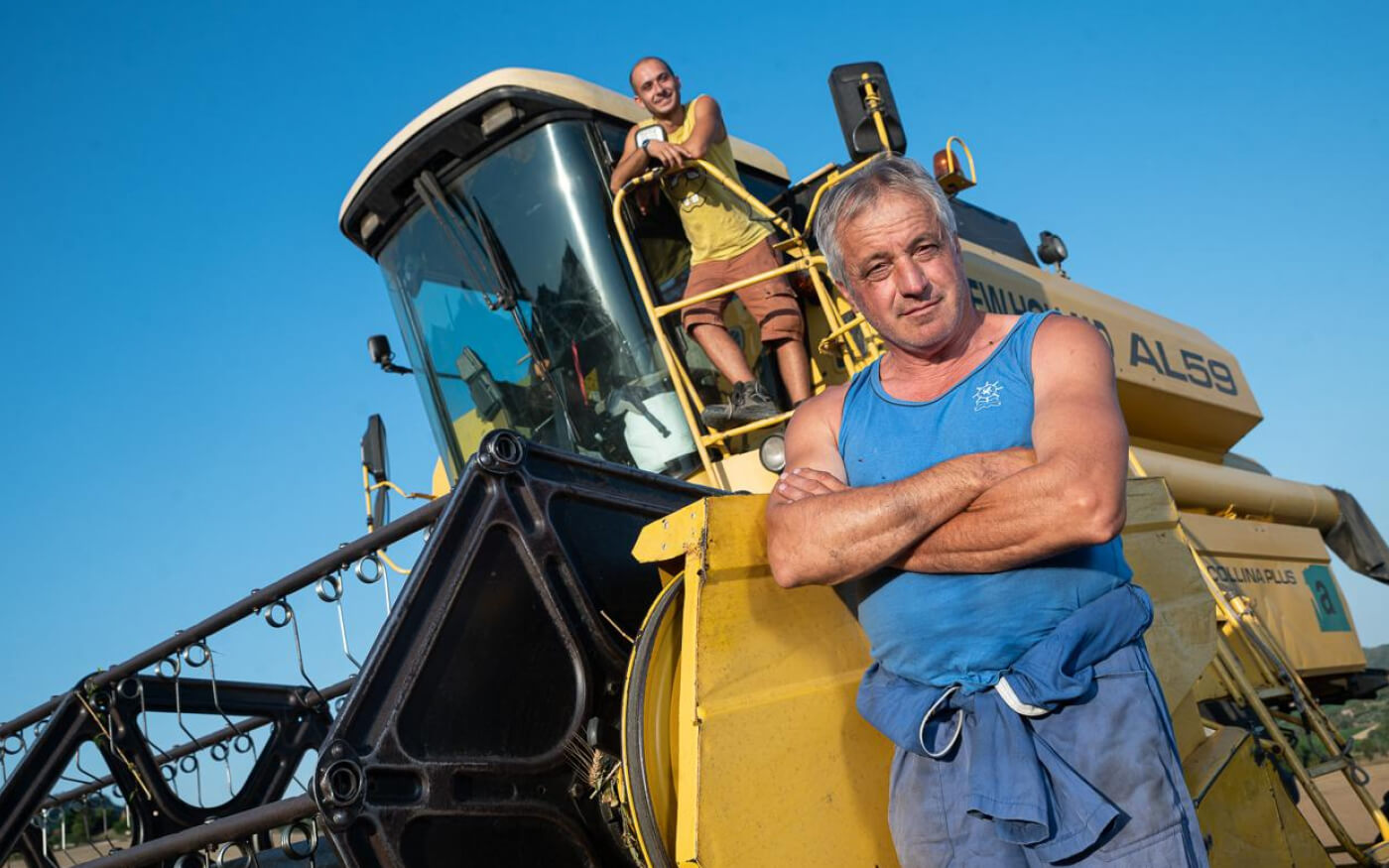 Agricoltore sul trattore in un campo di grano