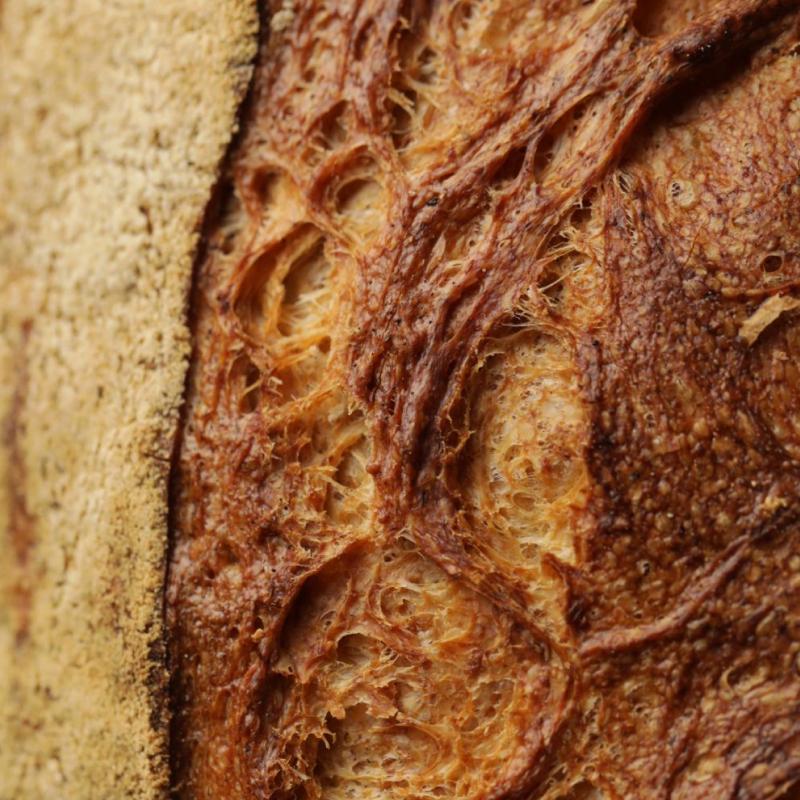 Dettaglio della crosta di un pane